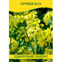Семена горчицы Белая, 100г