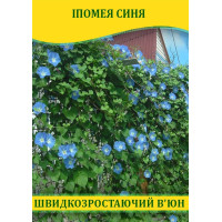 Семена Ипомея синяя, 50г