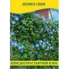 Семена Ипомея синяя, 50г