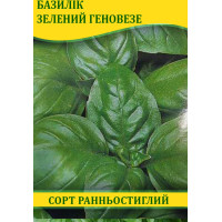 Насіння базиліка зелений Геновезе, 100г