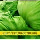 Насіння салату Айсберг, 100г