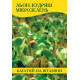 Насіння льону-кудряш для мікрозелені, 100г