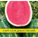 Насіння Кавуна Ау Продюсер, 0,5 кг
