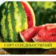 Семена арбуза Таврийский, 0,5кг