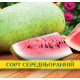 Насіння кавуна Чарльстон Грей, 0,5 кг