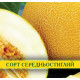 Насіння дині Колгоспниця, 0,5 кг
