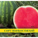 Семена арбуза Арашан, 0,5кг