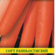 Насіння моркви Артек, 1кг