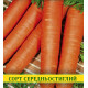 Насіння моркви Делікатесна, 1кг