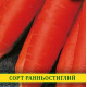 Насіння моркви Красавка, 1кг