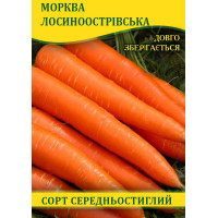 Насіння моркви Лосіноостровская, 1кг