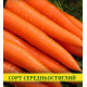 Насіння моркви Лосіноостровская, 1кг