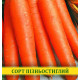 Насіння моркви Перфекція, 1кг
