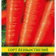 Насіння моркви Регульська, 1кг