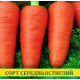 Насіння моркви Шантане Сквирська, 1кг