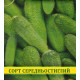 Насіння огірка берегової, 0,5 кг