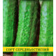 Насіння огірка Гейм, 0,5 кг