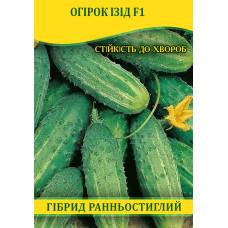 Семена огурца Изид F1, 0,5кг