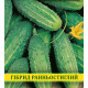 Насіння огірка Ізід F1, 0,5 кг