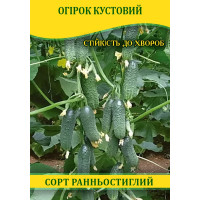 Насіння огірка кущовий, 0,5 кг