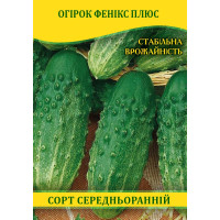 Насіння огірка ФЕНІКС Плюс, 0,5 кг