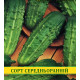 Семена огурца Висконсин, 0,5кг