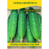 Насіння огірка єфрейтор F1, 0,5 кг