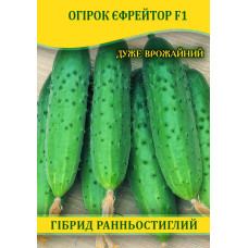Семена огурца Ефрейтор F1, 0,5кг