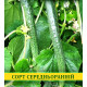 Семена огурца Китайский Салатный, 0,5кг