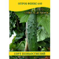 Семена огурца Феникс 640, 0,5кг
