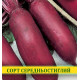 Семена свеклы столовой Цилиндра, 0,5кг