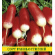 Семена редиса Богиня, 1кг