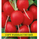 Насіння редису спека, 1кг