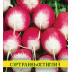 Насіння редиски Краковянка, 1кг