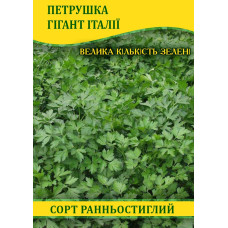 Семена петрушки Гигант Италии листовая, 0,5кг