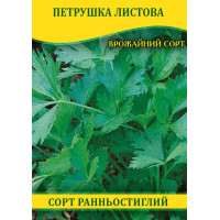 Насіння петрушки листова, 0,5 кг