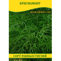 Насіння кропу Мамонт, 1кг