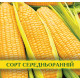 Насіння кукурудзи Ароматна, 1кг