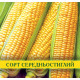 Насіння кукурудзи Брусниця, 1кг