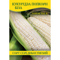 Семена кукурузы Попкорн Белый, 1кг