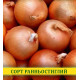 Семена лука Халцедон, 0,5кг