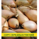 Насіння цибулі Любчик, 0,5 кг