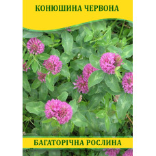 Семена клевера Красный, 1кг