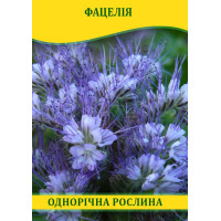 Насіння Фацелія, 1кг