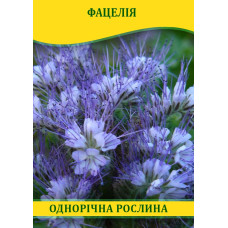 Семена Фацелия, 1кг