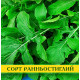 Насіння руколи Сицилія, 0,5 кг