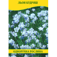 Насіння Льон Кудряш, 1 кг
