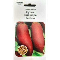 Семена свеклы Цилиндра, Польша, 5г