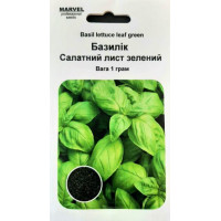 Насіння базиліка Салатний лист зелений, Італія, 1 гр